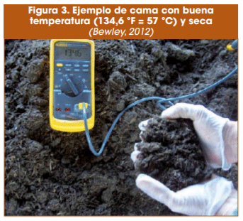 Figura 3. Ejemplo de cama con buena temperatura (134,6 ºF = 57 ºC) y seca (Bewley, 2012