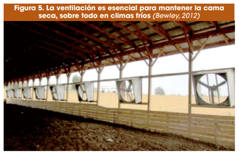 Figura 5. La ventilación es esencial para mantener la cama seca, sobre todo en climas fríos (Bewley, 2012)