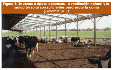 Figura 6. En zonas o épcas calurosas, la ventilación natural y la radiación solar son suficientes para secar la cama (Galama, 2011)