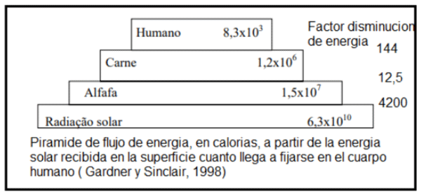 Las praderas o pasturas polifíticas - Image 2