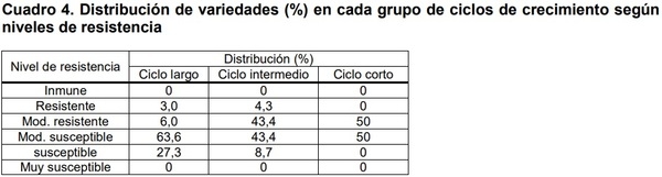 Comportamiento de variedades de trigo evaluadas a Fusariosis de la espiga con infección artificial y registros de royas - Image 4