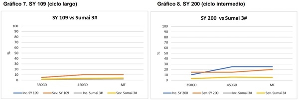 Comportamiento de variedades de trigo evaluadas a Fusariosis de la espiga con infección artificial y registros de royas - Image 9