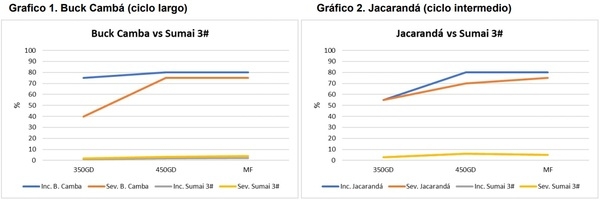 Comportamiento de variedades de trigo evaluadas a Fusariosis de la espiga con infección artificial y registros de royas - Image 5