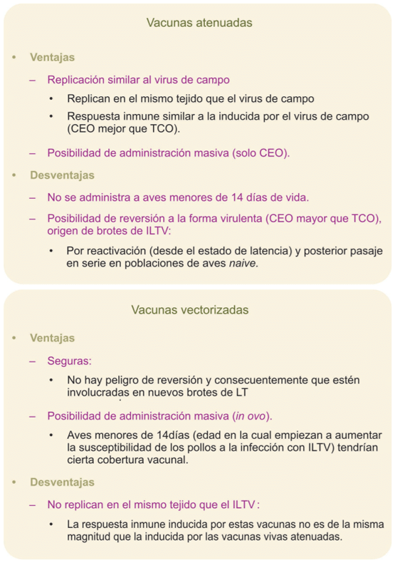 Figura 5: Ventajas y desventajas de las vacunas atenuadas y vectorizadas