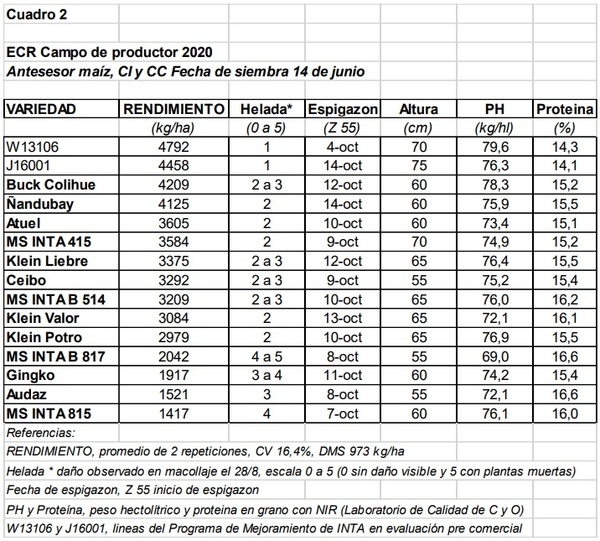 Evaluación de cultivares de trigo sobre rastrojo de maíz - Image 2