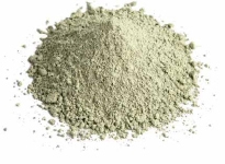 La tecnología Cu Algoclay como modulador de la flora intestinal - Image 1
