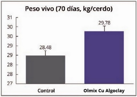 La tecnología Cu Algoclay como modulador de la flora intestinal - Image 1
