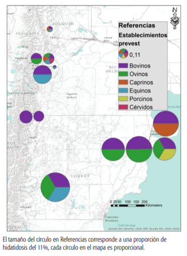 FIGURA 2. Proporción de especies existentes en cada establecimiento de origen de los bovinos faenados.