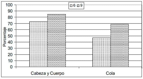 Avances en utilización de suplemento mineral al 9% de fósforo en un rodeo de cría - Image 3