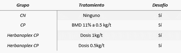 Efecto del Herbanoplex CP en la performance de pollos de engorde con un desafío inespecífico y un modelo de enteritis necrótica - Image 2