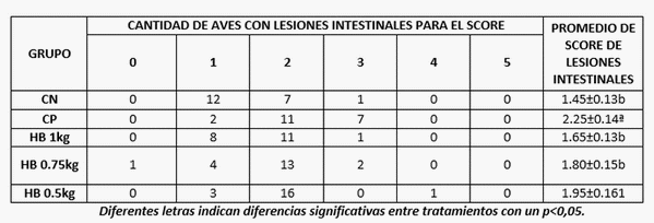 Efecto del Herbanoplex CP en la performance de pollos de engorde con un desafío inespecífico y un modelo de enteritis necrótica - Image 4