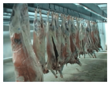Factores que Influyen Sobre la Calidad de la Carne de Ovino - Image 1