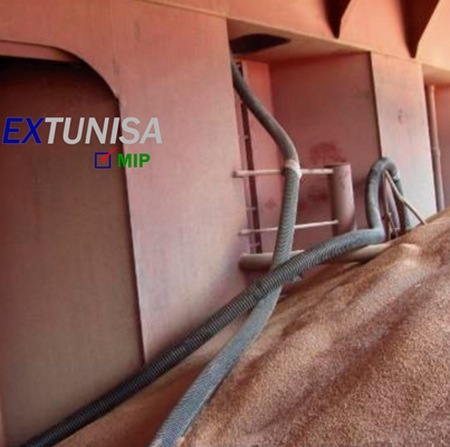 Inspección de grano en transporte marítimo - Image 2