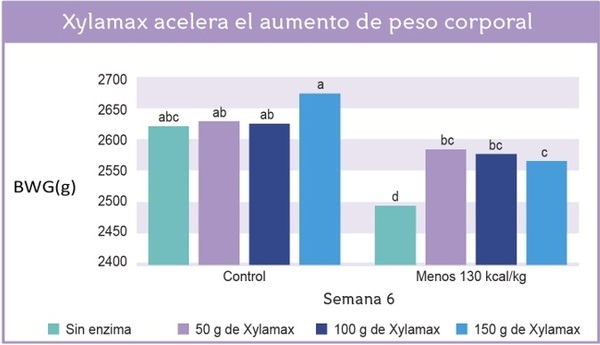 Los efectos de la suplementación con xilanasa (Xylamax) sobre el rendimiento de pollos de engorde comerciales alimentados con dietas bajas en energía - Image 3