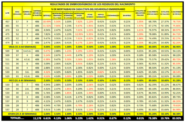 Puntos críticos en la administración avícola - Image 3