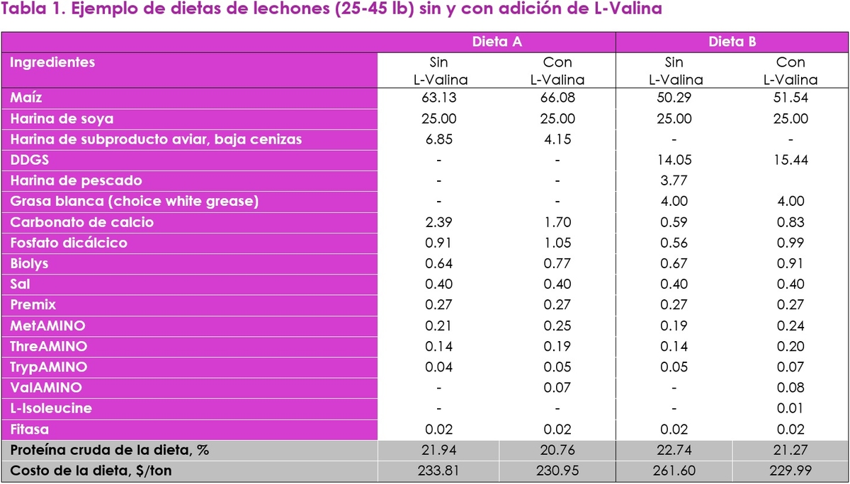 Optimizando la proteína de la dieta con valina como el siguiente aminoácido limitante - Image 7