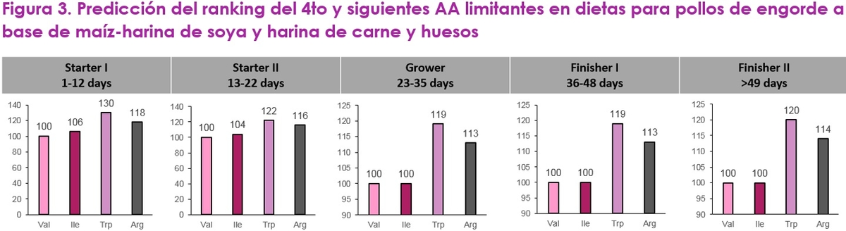 Optimizando la proteína de la dieta con valina como el siguiente aminoácido limitante - Image 5