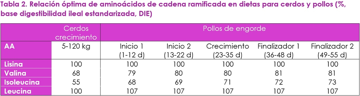 Optimizando la proteína de la dieta con valina como el siguiente aminoácido limitante - Image 9