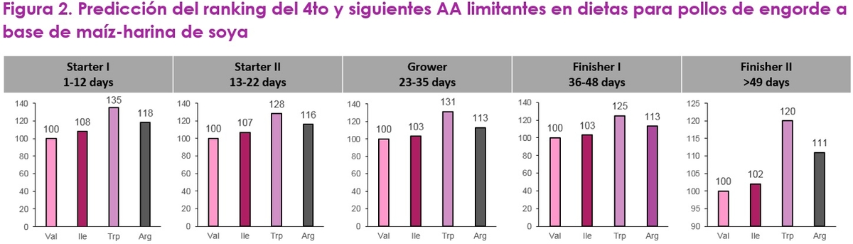 Optimizando la proteína de la dieta con valina como el siguiente aminoácido limitante - Image 3