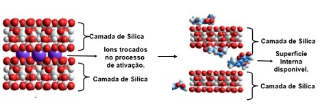 ¿Cuáles son los puntos clave a la hora de elegir un adsorbente de micotoxinas? - Image 3