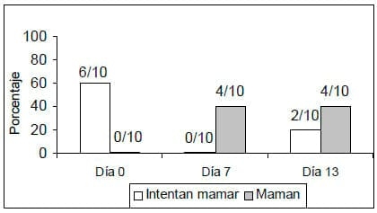 Destete a corral por 10 días, destete precoz y con tablilla nasal en vacas primíparas en buen estado corporal - Image 7