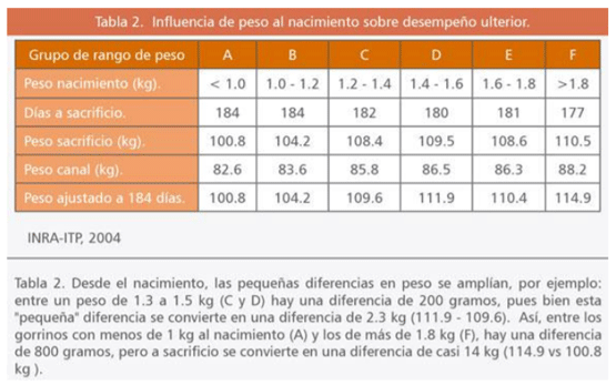influencia de peso al nacimiento sobre desempeño ulterior