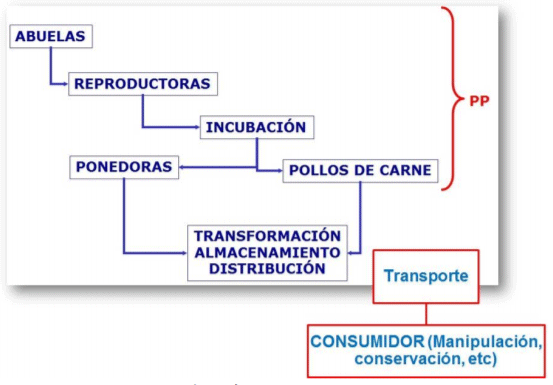 Figura 2.- Producción primaria y procesamiento