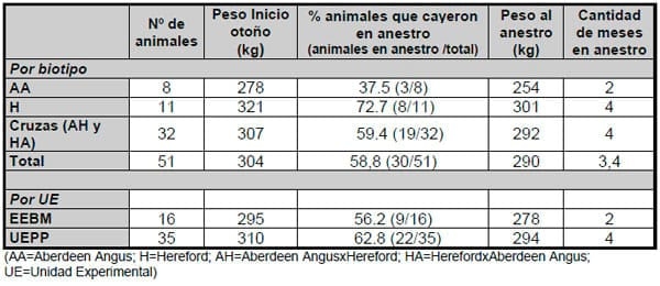 Monitoreo de la actividad reproductiva en vaquillonas previo al entore - Image 2
