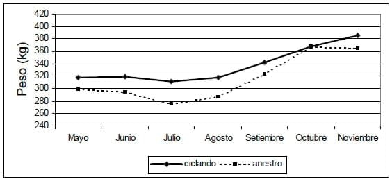 Monitoreo de la actividad reproductiva en vaquillonas previo al entore - Image 5