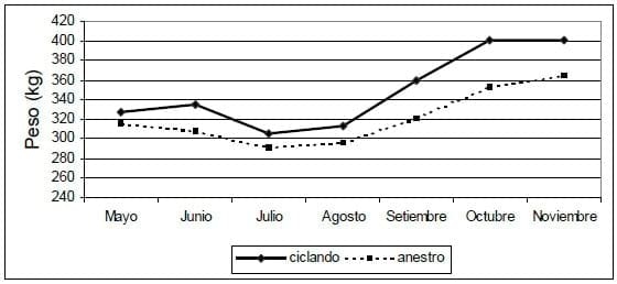 Monitoreo de la actividad reproductiva en vaquillonas previo al entore - Image 4