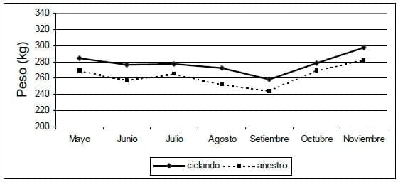 Monitoreo de la actividad reproductiva en vaquillonas previo al entore - Image 3