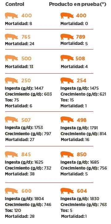 Aceites esenciales prevenir y curar problemas pulmonares - Image 1