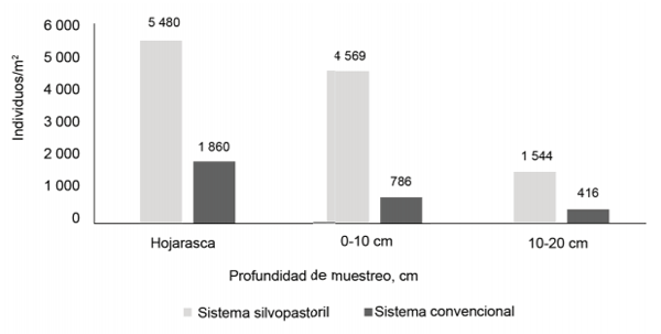 Cantidad de organismos (ind/m2) de la macrofauna edática por profundidad de muestreo y sistema ganadero.