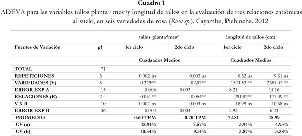 Respuesta de seis cultivares de rosa (Rosa sp.) a tres relaciones catiónicas del suelo. Cayambe, Pichincha - Image 1