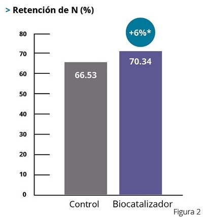 ¿Existen otras maneras de mejorar la digestión de forma natural? - Image 3