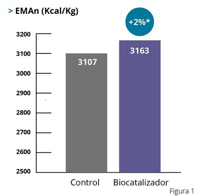 ¿Existen otras maneras de mejorar la digestión de forma natural? - Image 2