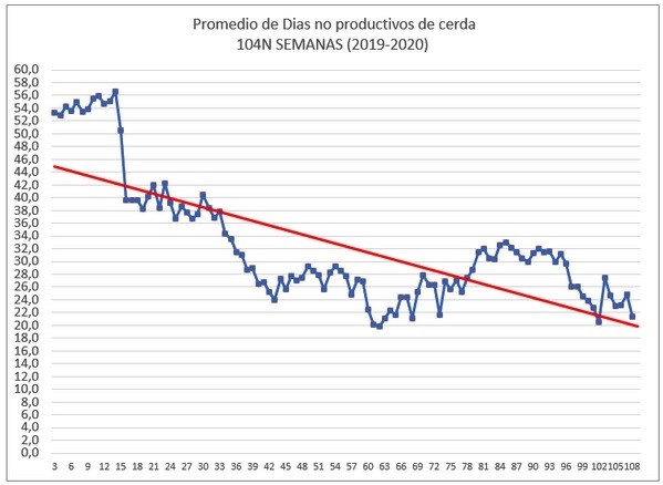 Días No Productivos son el reflejo de la eficiencia reproductiva en granjas porcinas y tienen un gran impacto económico en la granja - Image 4