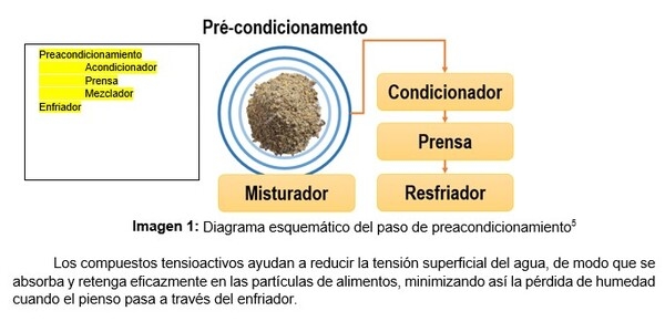 Acondicionamiento previo: un enfoque eficaz para maximizar la eficiencia de producción, la calidad de los pellets y la rentabilidad en las fábricas de piensos - Image 1