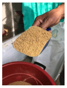  presentación del alimento suministrado