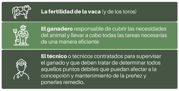 CLVES PARA ÉL ÉXITO REPRODUCTIVO Y MEJORA DE FERTILIDAD EN VACAS