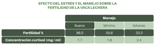 efecto del estrés y el manejo sobre la fertiidad de la vaca lechera