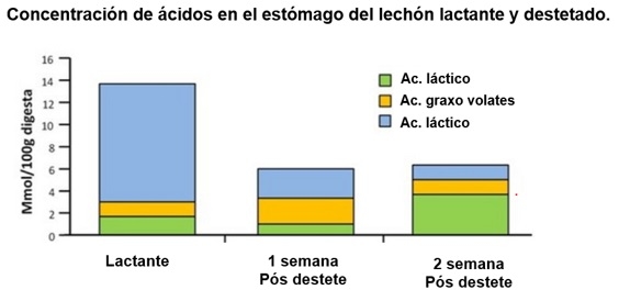 La nutrición inicial es decisiva en los resultados finales de la producción porcina - Image 2
