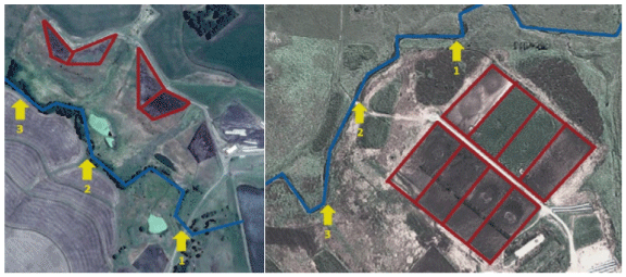 Mapa satelital de los establecimientos. En la izquierda el establecimiento A y a la derecha el establecimiento B. En color rojo se indican los corrales, el curso de agua en azul y los puntos de muestreo en amarillo: 1 aguas arriba; 2 frente al corral; 3 aguas abajo.
