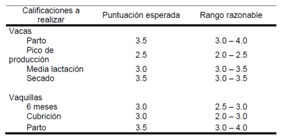 Puntuación recomendable de condición corporal en ganado lechero en tiempos críticos