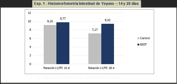 Reducción de costos en dietas de pollos formulando butirato de sodio doblemente tamponado para la mejora de la salud intestinal - Image 1