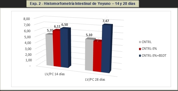 Reducción de costos en dietas de pollos formulando butirato de sodio doblemente tamponado para la mejora de la salud intestinal - Image 2