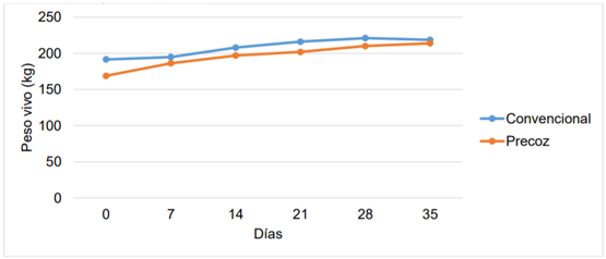 Evolución de peso (kg PV) durante la adaptación al engorde de terneros provenientes de destete convencional o precoz.