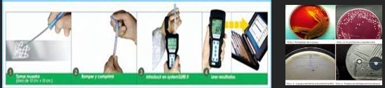 La maternidad vista como procesos de producción - Image 2