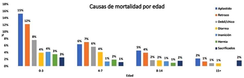 La maternidad vista como procesos de producción - Image 3