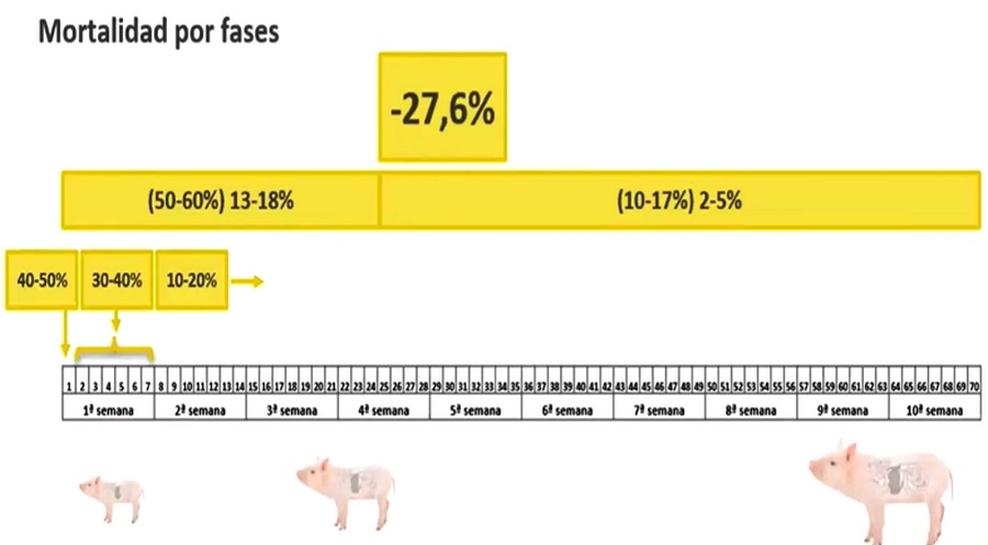 La maternidad vista como procesos de producción - Image 1